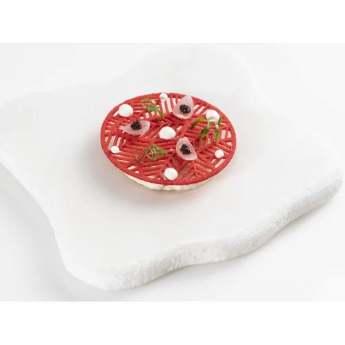 SILICONE MOULD FOSIL