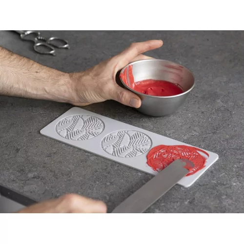 SILICONE MOULD FOSIL