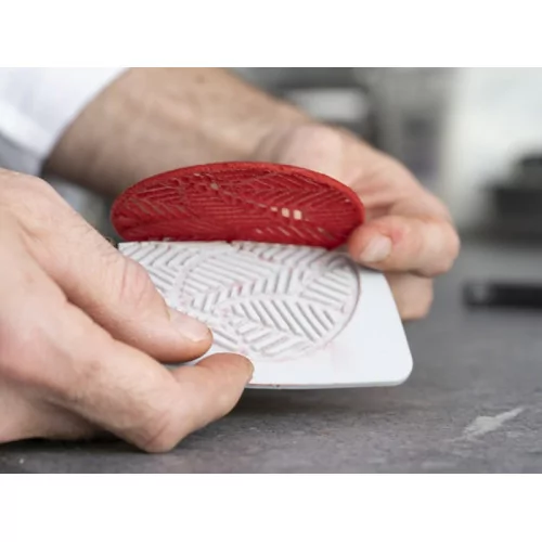 SILICONE MOULD FOSIL