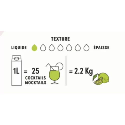 Puré de lima Boiron 1 L – Temperatura ambiente, sin azúcar añadido | La Tienda del Bartender