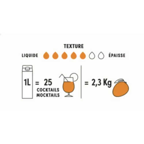 Puré de Mango Boiron 1 L – Temperatura ambiente, sin azúcar añadido | La Tienda del Bartender